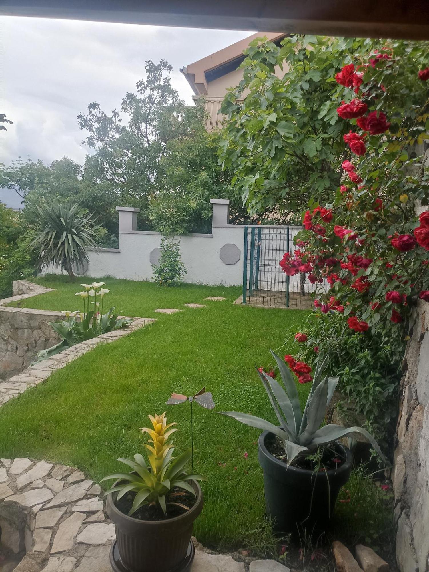 Mini Garsonjera Hotel Podgorica Exterior photo